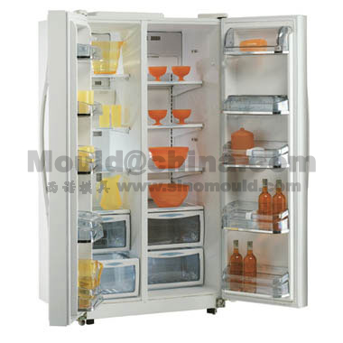 Refrigerator mould_318