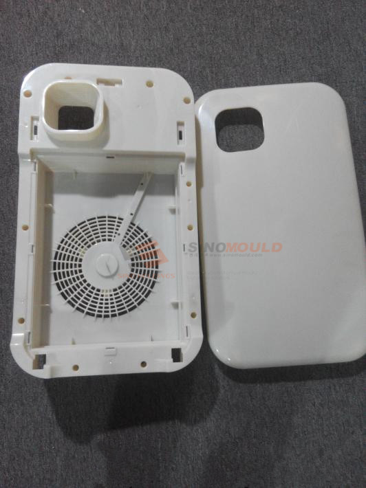 Air Purifier Mold