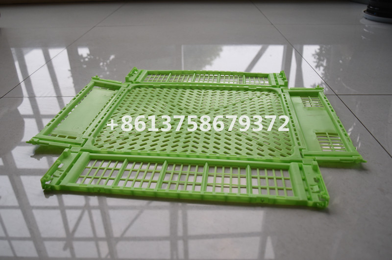 Chinese Foldable Crate Supplier.jpg