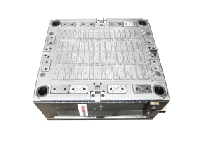 Antigen testing kit mold image-1