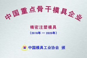 China Key Enterprise for Precision Injection Molds