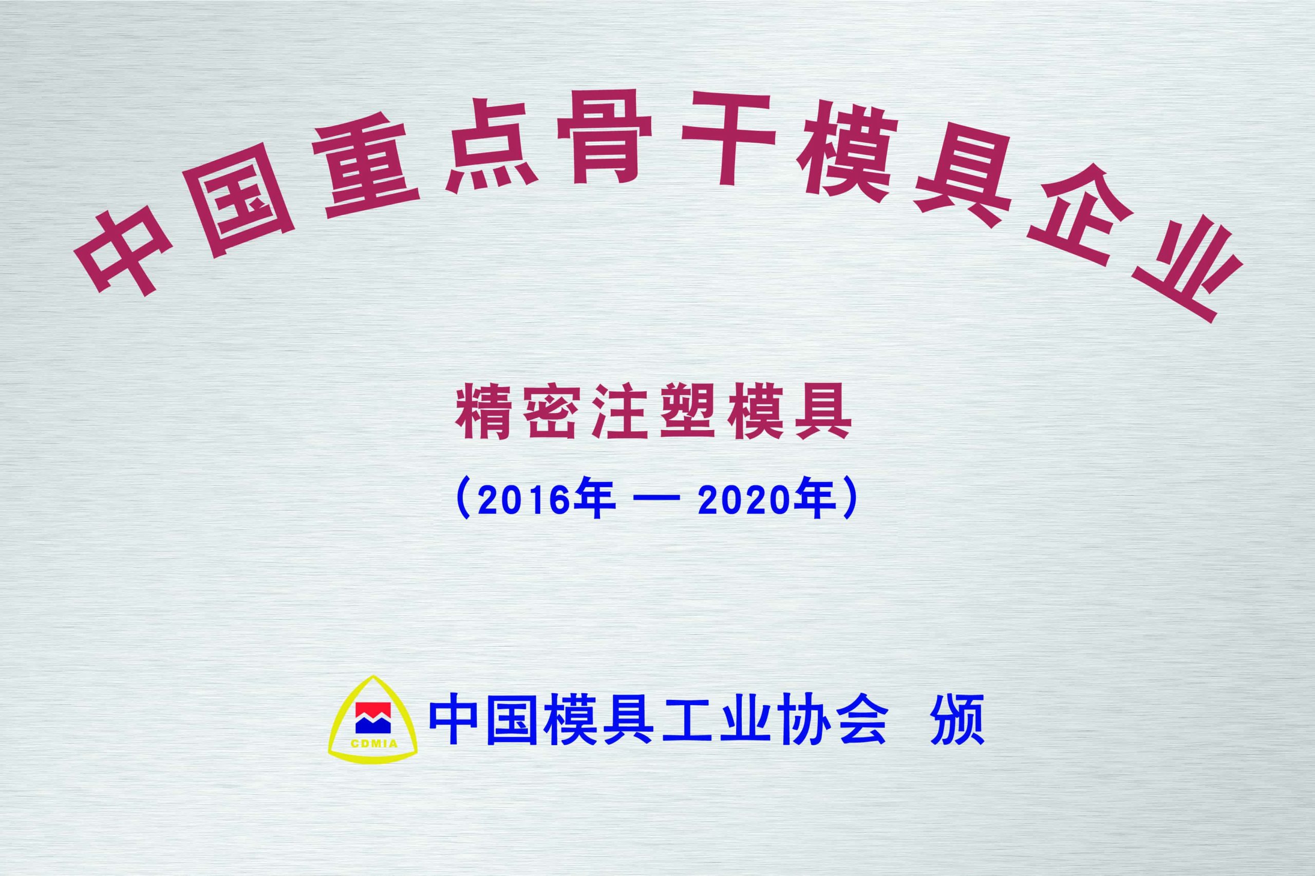 China Key Enterprise for Precision Injection Molds