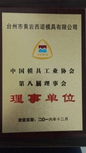 Council Member of China Die & Mould Industry Association
