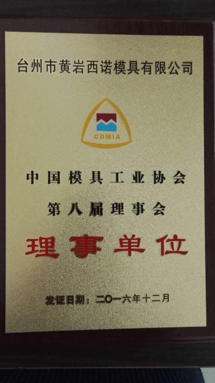 Council Member of China Die & Mould Industry Association